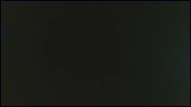 Geisha Seniers online show from 11, 2, 2025