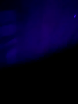 nehacplsex online show from 25, 1, 2025