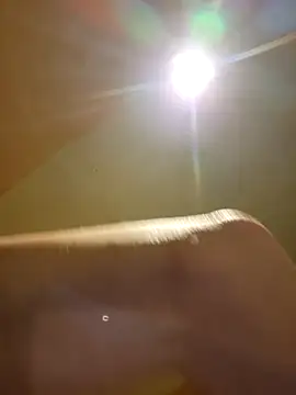 BigDDave6979 online show from 6, 3, 2025