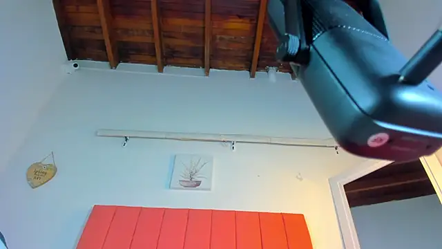 valen rose0 online show from 2, 11, 2025