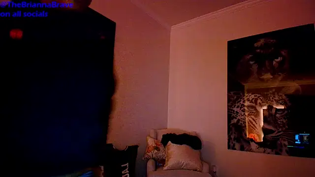 BriannaBrave online show from 24, 3, 2026