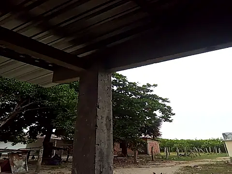 natally ross21 online show from 21, 12, 2025