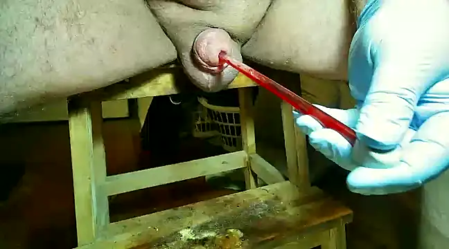 CBT FUN TIME online show from 14, 3, 2025