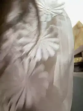 Snapshot of Efangfang chatting on 16, 2, 2025 Efangfang online show from 16, 2, 2025