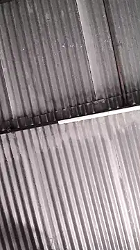 mendelicius online show from 11, 2, 2026