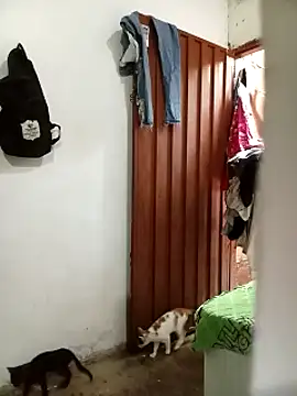 Snapshot of Andreita_95 chatting on 13, 11, 2025 Andreita 95 online show from 13, 11, 2025