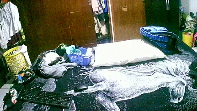 Snapshot of jperezofficial1 chatting on 13, 9, 2025 jperezofficial1 online show from 13, 9, 2025