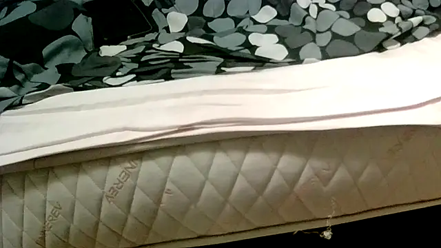 Snapshot of robertone80 chatting on 2, 3, 2025 robertone80 online show from 2, 3, 2025