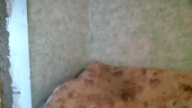 DennisXCaroll online show from 23, 4, 2026