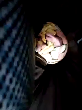 Snapshot of Policeman20742 chatting on 25, 2, 2025 Policeman20742 online show from 25, 2, 2025