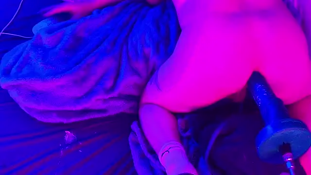 BJSchlect online show from 2, 3, 2026