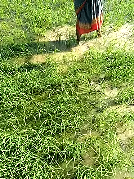 hairipussy2 online show from 7, 2, 2025