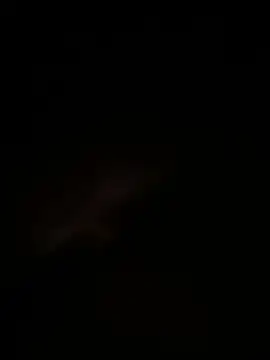 andres66152 online show from 13, 7, 2026