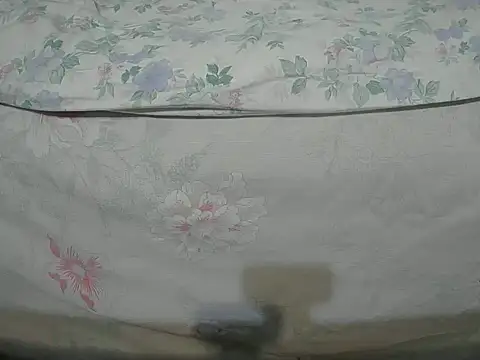 Tiger202441 online show from 16, 12, 2024