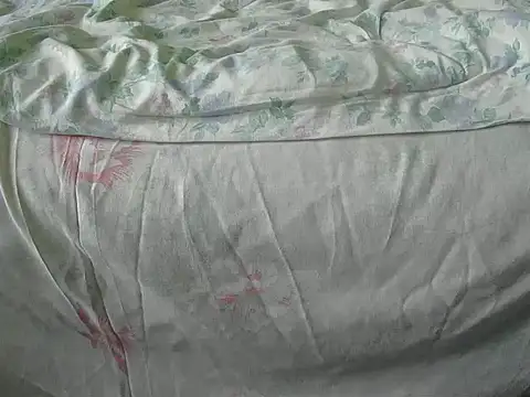 Tiger202441 online show from 18, 12, 2024