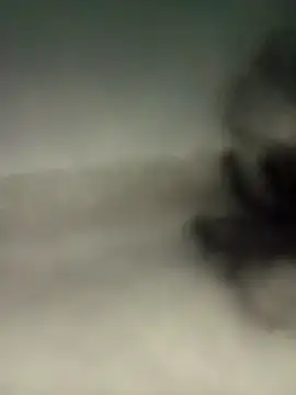 alexmoragomez online show from 20, 4, 2026