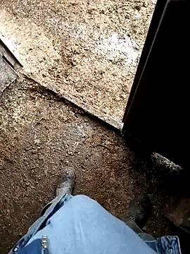 murokkk31 online show from 9, 1, 2026