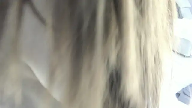 celestica rose online show from 2, 2, 2026