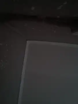 wlammi ptr online show from 19, 12, 2025