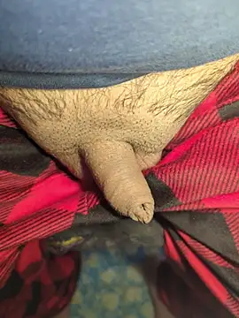 publicsir online show from 17, 4, 2026