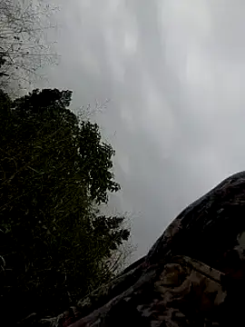 Sherry she online show from 2, 2, 2025