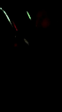 otterlover123 online show from 16, 3, 2025