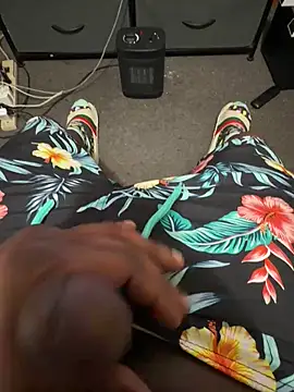 Cameltoekilla online show from 13, 4, 2026