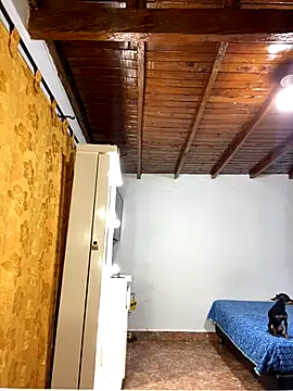 Zaratattoox online show from 1, 12, 2025