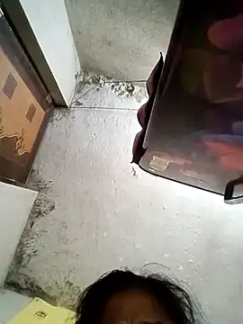 Gautami-telugu online show from 9, 9, 2025