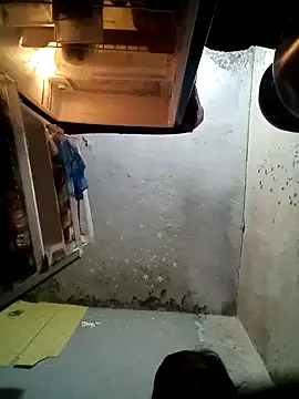 Gautami-telugu online show from 22, 9, 2025