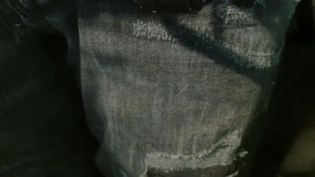 Snapshot of Gigadickman chatting on 2, 1, 2025 Gigadickman online show from 2, 1, 2025