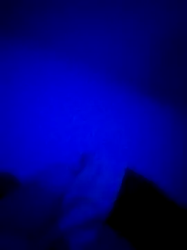 HELL FIRE online show from 24, 10, 2025