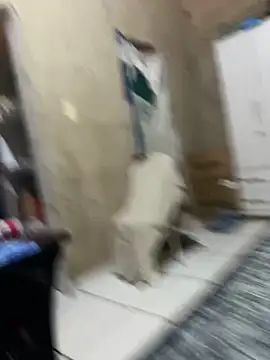 HenriqueH3 online show from 2, 3, 2026