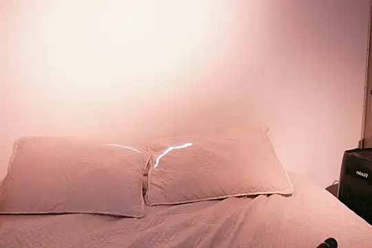 Nicky and Blake online show from 2, 2, 2025