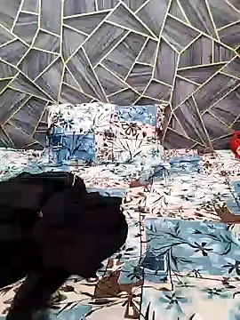 Snapshot of Diya_Chopra chatting on 16, 12, 2024 Diya Chopra online show from 16, 12, 2024