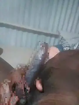 advocate2 online show from 8, 11, 2025