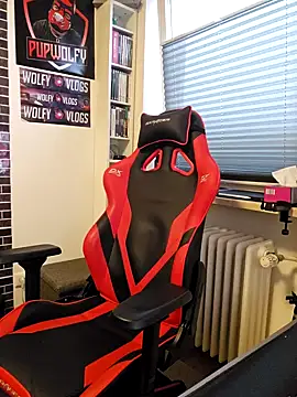 PupW0lfy online show from 28, 1, 2025