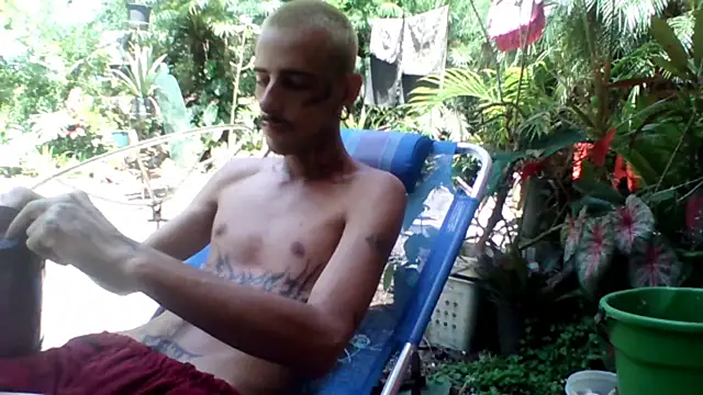 sellvageria online show from 22, 11, 2025