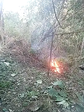 andreu mature online show from 26, 2, 2025