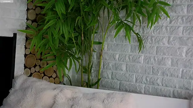 LowOncoming online show from 25, 3, 2026