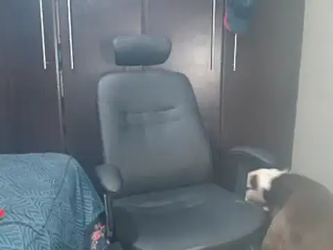 Snapshot of blzed420 chatting on 15, 2, 2025 blzed420 online show from 15, 2, 2025