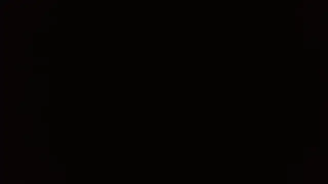 Stefanny Taylor  online show from 17, 1, 2026