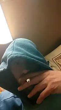 Rejtelmesest online show from 20, 1, 2025