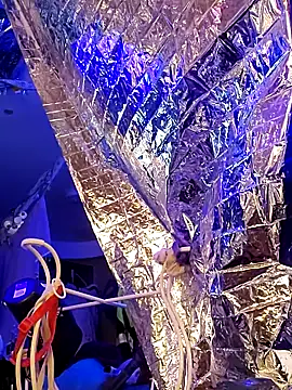 gurlnips online show from 21, 3, 2025