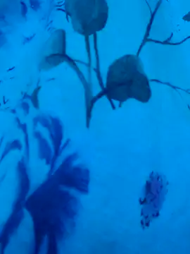 gurlnips online show from 19, 9, 2025