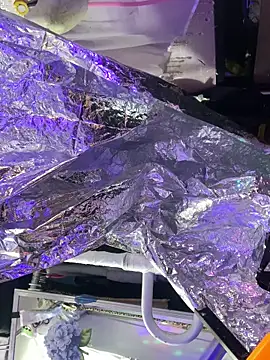 gurlnips online show from 8, 10, 2025