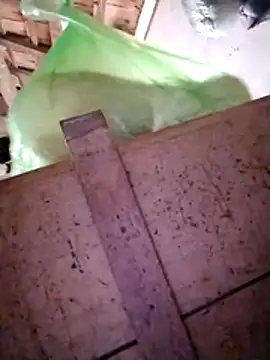 Hotpussy3ox online show from 20, 12, 2025