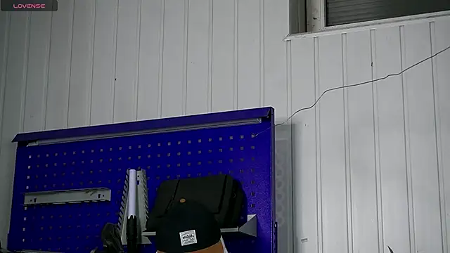 dustyn fox online show from 15, 11, 2025