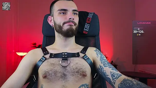 xteddy bear online show from 11, 1, 2025