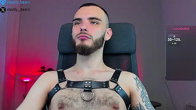 xteddy bear online show from 18, 1, 2025